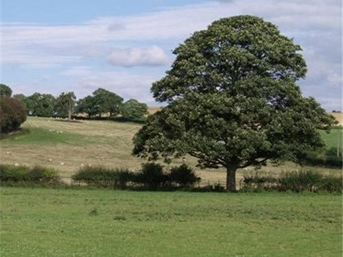 Dove Meadow Bed & Breakfast Denstone Exterior foto